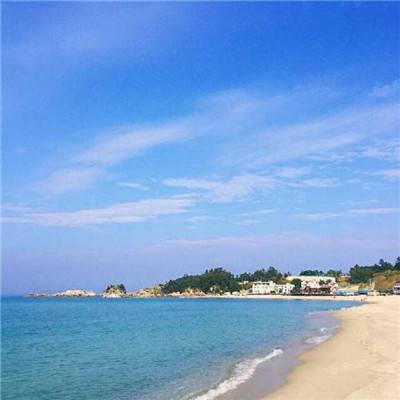 突尼斯这样提升橄榄油知名度（第一现场）
